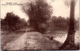 45 MELLEROY - Un Coin De L'etang De La Chaponniere  - Altri & Non Classificati