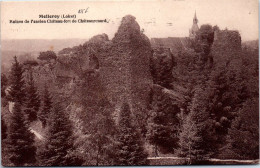 45 MELLEROY - Ruines De L'ancien CHATEAUfort  - Sonstige & Ohne Zuordnung