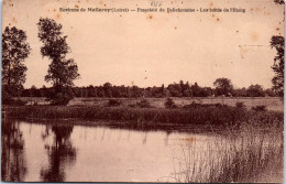 45 MELLEROY - Le Domaine De Bellefontaine, Bords De L'etang - Altri & Non Classificati