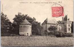 45 SANDILLON - Ruines Du Petit Marais  - Sonstige & Ohne Zuordnung