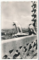 CPSM Dentelée 9 X 14  Seine PARIS Chimères De Notre-Dame Et Vue Sur Le Sacré-Cœur - Notre Dame Von Paris