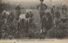 CPA29- PLOUGASTEL-DAOULAS- Cueillette Des Fraises à L'Aube - Plougastel-Daoulas