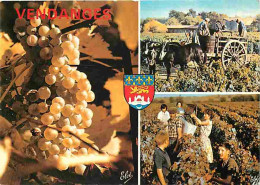 Vignes - Vendanges En Bordelais - Multivues - Raisins - CPM - Voir Scans Recto-Verso - Weinberge