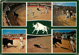 Corrida - Camargue - Souvenir D'une Course Libre - Multivues - Etat Pli Visible - CPM - Voir Scans Recto-Verso - Stierkampf