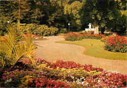 62 - Saint Omer - Le Jardin Public - Fleurs - CPM - Voir Scans Recto-Verso - Saint Omer