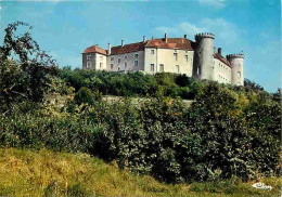 70 - Ray Sur Saone - Le Château - CPM - Voir Scans Recto-Verso - Autres & Non Classés