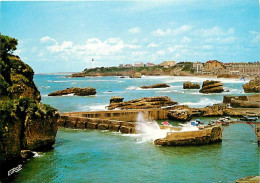 64 - Biarritz - Le Port Des Pêcheurs - CPM - Voir Scans Recto-Verso - Biarritz