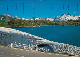 Suisse - BE Berne - Grimsel-Passhôhe 2172 M - Totensee Mit Walliseralpen - Lake Of The Dead And Valais Alps - CPM - Cart - Sonstige & Ohne Zuordnung