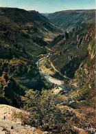 48 - Les Gorges Du Tarn - Le Point Sublime - CPM - Voir Scans Recto-Verso - Gorges Du Tarn