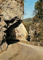 38 - Isère - La Chartreuse - Tunnels Dans Les Gorges - CPM - Voir Scans Recto-Verso - Autres & Non Classés