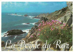 29 - La Pointe Du Raz - Le Phare De La Vieille - Le Raz De Sein - Voir Scans Recto Verso  - La Pointe Du Raz