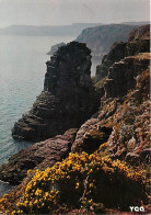 22 - Le Cap Fréhel - Le Rocher De La Grande Fauconnière - CPM - Voir Scans Recto-Verso - Cap Frehel