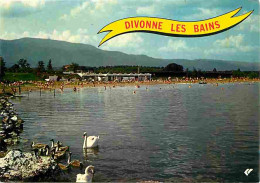 01 - Divonne Les Bains - La Plage De La Station - Cygnes - Flamme Postale - CPM - Voir Scans Recto-Verso  - Divonne Les Bains