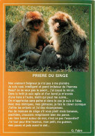 Animaux - Singes - Macaque - Prière Du Singe - CPM - Voir Scans Recto-Verso - Affen