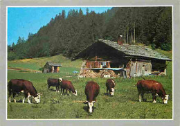 Animaux - Vaches - Troupeau En Montagne - CPM - Voir Scans Recto-Verso - Kühe