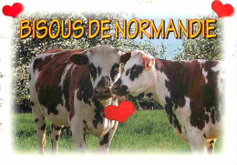 Animaux - Vaches - Normandie - CPM - Voir Scans Recto-Verso - Vaches