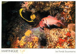 Animaux - Poissons - Les Fonds Sous-marins De Martinique - CPM - Voir Scans Recto-Verso - Fische Und Schaltiere