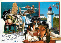 Animaux - Chiens - Basser - Bretagne - Multivues - CPM - Voir Scans Recto-Verso - Dogs