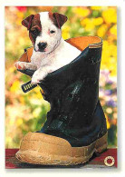 Animaux - Chiens - Chiot - CPM - Voir Scans Recto-Verso - Hunde