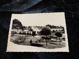 P-1149 , Photo, Digoin, Le Parc Public Au Bord De La Loire, Juillet 1966 - Orte