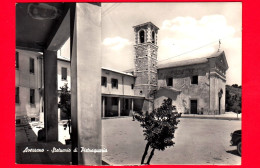 ITALIA - Abruzzo - Avezzano (L'Aquila) - Santuario Di Pietraquaria  - Cartolina Non Viaggiata - Avezzano