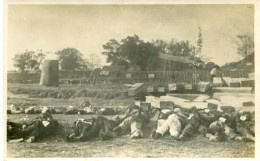 China Mass Executed Men On Field Coffins - China