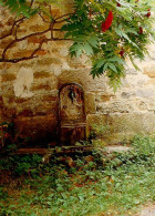 LIVRY SUR SEINE-clos Notre-dame - Autres & Non Classés