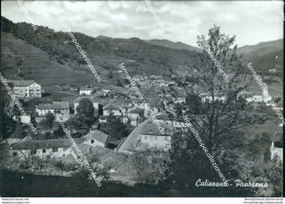 Cg277 Cartolina Calizzano Panorama Provincia Di Savona Liguria - Savona