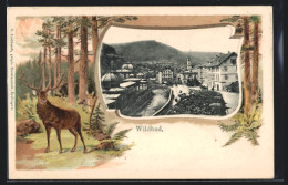 Passepartout-Lithographie Wildbad, Strassenpartie Am Fluss, Kapitaler Hirsch  - Sonstige & Ohne Zuordnung