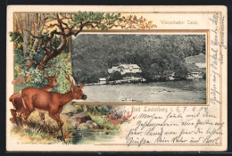 Passepartout-Lithographie Bad Lauterberg I. H., Am Wiesenbeeker Teich, Rehbock Und Ricke  - Autres & Non Classés