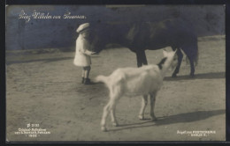 AK Prinz Wilhelm Mit Pony Und Ziege  - Royal Families