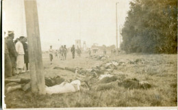 China Executed Men By Army On Field - China