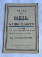 Atlas Der Heil Und Nährpflanzen Sowie Der Essbaren Und Giftigen Pilze Von (Botanik) - Ohne Zuordnung