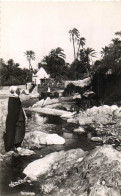 BOU SAADA L'Oued Et Le Pavillon Du Peintre Dinet  RV - Sonstige & Ohne Zuordnung