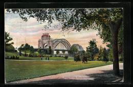 AK Düsseldorf, Hofgarten, Blick A. D. Rheinbrücke  - Düsseldorf