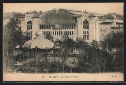 CPA Biarritz, La Gare Du Midi, La Gare Avec Pavillon  - Biarritz