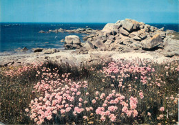 France Littoral Breton Au Printemps - Bretagne