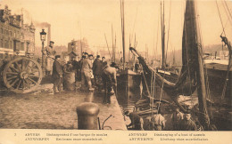 PECHE - Anvers - Déchargement D'une Barque De Moules - Animé - Carte Postale Ancienne - Visvangst