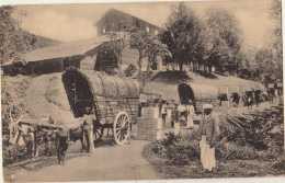 Sri Lanka Ceylon Carting Tea From Factory - Sri Lanka (Ceylon)