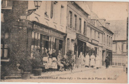 Seine Maritime : DOUDEVILLE : Un Coin D Ela  Place - Other & Unclassified