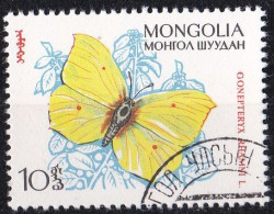 (Mongolei 1963) Schmetterlinge Gonepteryx Rhamni O/used (A5-20) - Vlinders