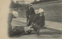 CPA22- SAINT-BRIEUC- Scènes De Foire- Marché Aux Cochons- Un Récalcitrant - Saint-Brieuc