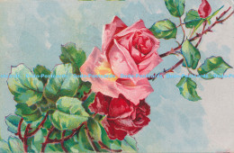 R175717 Old Postcard. Pink Roses. No 303 - World