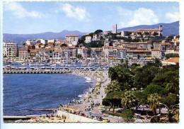 CPSM Dentelée 10.5 X 15 Alpes Maritimes  CANNES   Le Port Et Le Suquet - Cannes