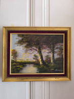 S.ARAKELIAN (XXeme) Huile Sur Toile "Paysage Lacustre" Cadre Bois Doré Et Velours - Oils