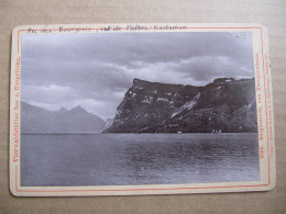 PHOTO CARTONNEE  - SUISSE - BÜRGENSTOCK VON KASTANIENBAUM - VIERWALDSTÄTTER SEE - Format : 10,5 X 16,5 Cm - Europa