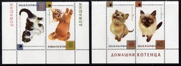 Bulgarie Bulgaria 4362/65 Chats - Chats Domestiques