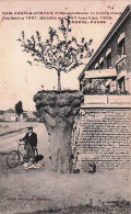 Bornem - HINGENE - PUURS - Cam. Kegels-Costa's Kriekappelboom In Hollen Trunk Geplant 1901 - Bornem