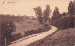 DAVERDISSE - Chemin Vers Le Moulin - Daverdisse