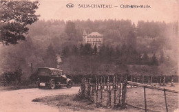 Vielsam - SALM CHATEAU - Chateau Ste Marie - Vielsalm